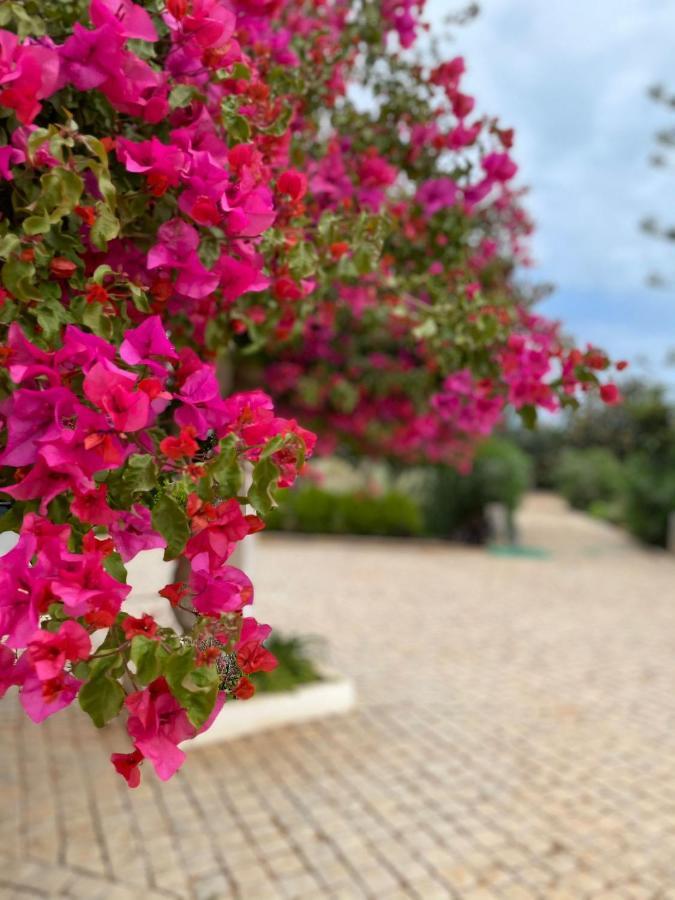 Quinta Vale Caranguejo Villa Tavira Buitenkant foto